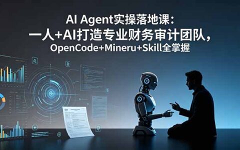 AI Agent实操课：一人+AI打造财务审计团队，OpenCode+Mineru全掌握