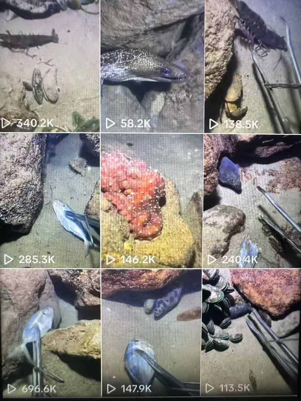 TikTok中视频解说教程，体育+温情双赛道实操，零基础快速落地