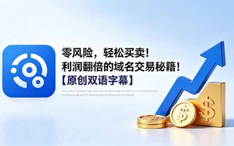 风险可控域名交易秘籍，低价收购高价转售利润翻倍【双语字幕】