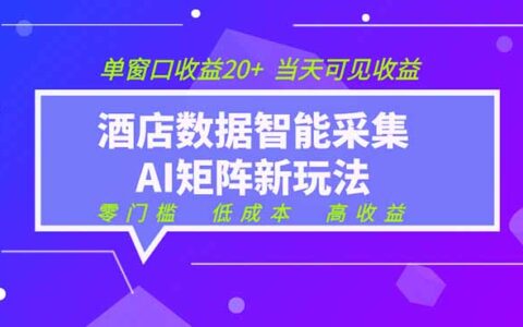 2026酒店数据采集AI智能矩阵新风口 低成本高收益当天见收益单窗口20+
