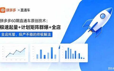 拼多多60期直通车：极速起量+计划矩阵，投产不稳终极解法