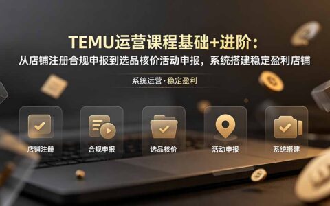 TEMU运营系统课：从店铺注册合规到选品核价活动申报，新手进阶稳定盈利