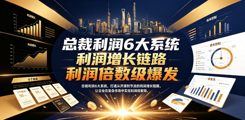 总裁利润6大系统：低成本获客+薪酬激励，破解企业生死劫，利润翻3倍