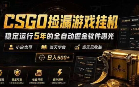 CSGO捡漏挂G自动化掘金软件，小白变现500方法教程