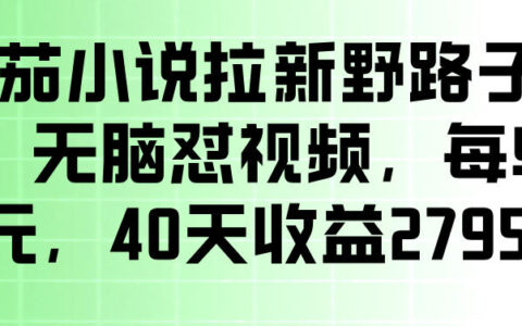 番茄小说拉新野路子玩法，无脑视频变现过万，小白可做