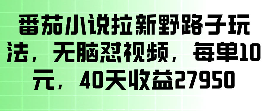 番茄小说拉新野路子玩法，无脑视频变现过万，小白可做
