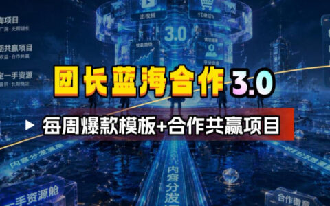 团长蓝海合作3.0：每周爆款模板+宝妈流量共赢项目