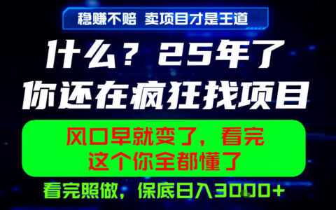 26年别再找项目了！卖项目稳赚不赔，照做变现1方法