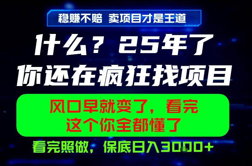 26年别再找项目了！卖项目稳赚不赔，照做变现1方法