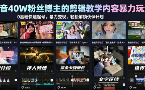 抖音剪辑教学0基础快速起号，风口变现解锁伙伴计划+精选