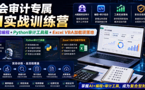 财会审计AI实战训练营：Python+VBA+Excel自动化办公