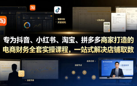2026 专为抖音小红书淘宝拼多多商家打造的电商财务实操课