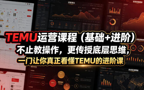 TEMU运营基础+进阶课，从选品核价到AI作图，教你底层思维与实操避坑