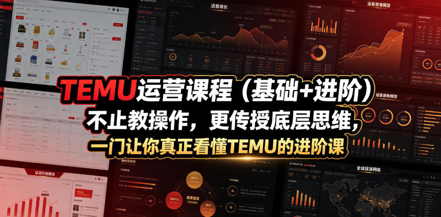 TEMU运营基础+进阶课，从选品核价到AI作图，教你底层思维与实操避坑