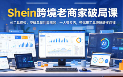 Shein老商家破局课：AI工具提效，突破单量利润瓶颈，一人管多店