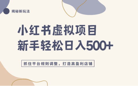 小红书虚拟项目4.0，抓住官方红利，单店变现500方法！
