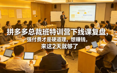 拼多多总裁班特训营复盘：强付费高利润玩法，2天突破盈利瓶颈