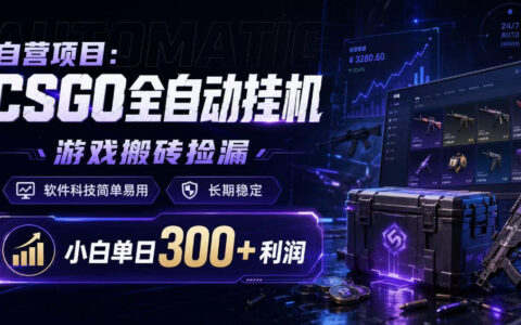 CSGO自动化挂G捡漏教程，小白变现300方法稳定项目