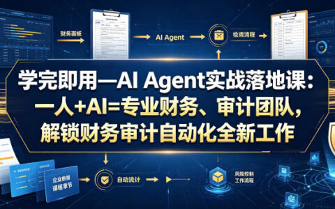 学完即用AI Agent实战课：财务审计自动化，一人搞定团队工作