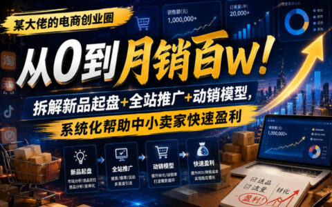 震宇电商创业圈：新品起盘+全站推广+动销模型，中小卖家快速盈利系统课
