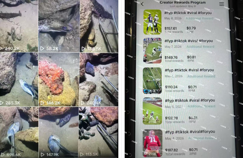TikTok中视频解说教程，体育温情双赛道实操带你出海赚美金
