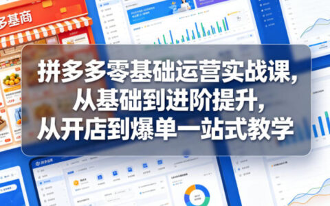 2026 拼多多零基础运营实战课：开店到爆单全流程教学
