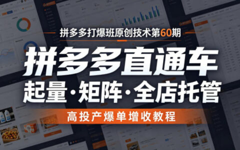 拼多多直通车第60期：起量矩阵全店托管，高投产爆单增收实战