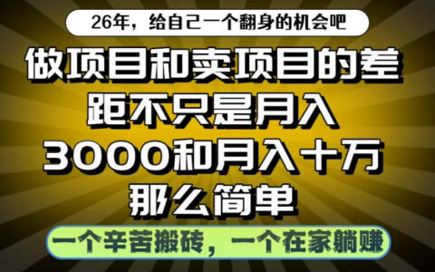 做项目和卖项目：从变现3K到10W，揭秘互联网搬砖与被动收入真相