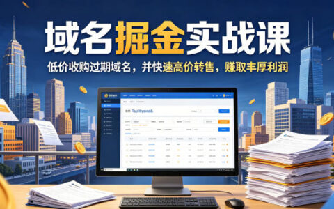 域名交易掘金课：低价收购过期域名高价转售，赚取丰厚利润