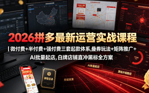 2026拼多多实战课：微付费起款+叠券半付费+强付费冲黑标方案