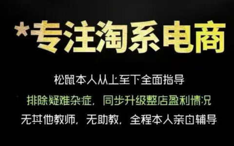 松鼠会电商VIP课程：淘宝运营逻辑与流量转化实战指南