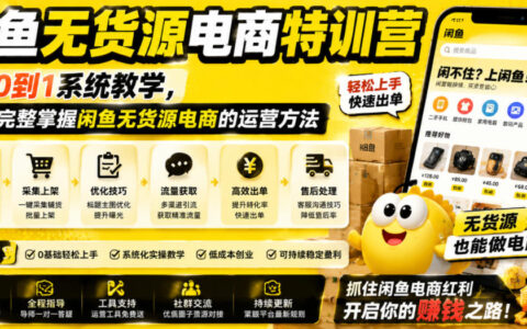 闲鱼无货源电商特训营：从0到1系统教学，掌握选品与运营方法