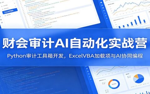 财会审计AI自动化实战：Python审计工具+ExcelVBA加载项开发