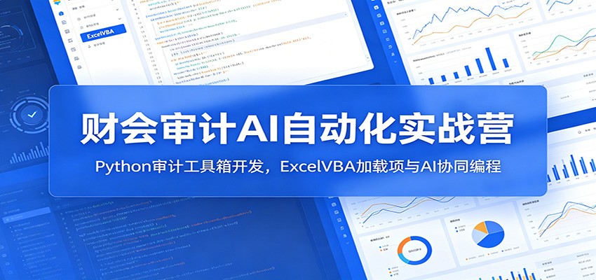 财会审计AI自动化实战：Python审计工具+ExcelVBA加载项开发