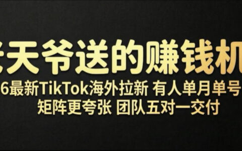 TikTok海外拉新单号变现10W+，矩阵操作小白也能赚大钱