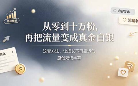 从零到十万粉，Instagram涨粉变现系统课【双语字幕】