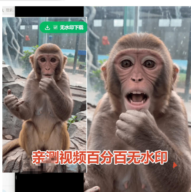 豆包无水印下载插件免费版，支持图片视频去水印浏览器拓展
