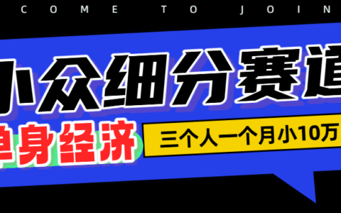 小众兴趣社群掘金：3人团队变现10W的流量变现玩法