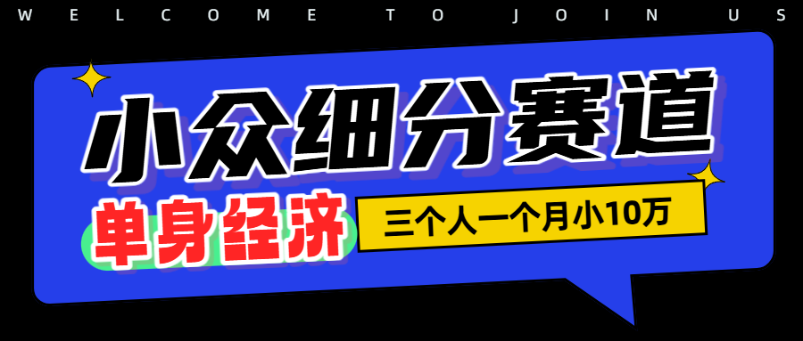 小众兴趣社群掘金：3人团队变现10W的流量变现玩法