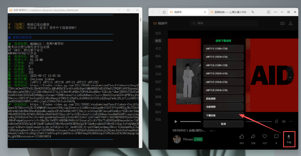 Github热门视频号下载神器wx_channels，一键注入按钮轻松批量下载