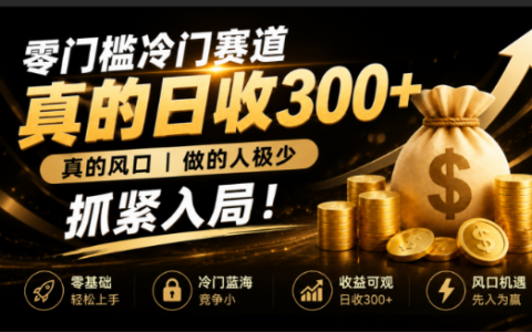 低成本冷门副业变现300方法，新手零基础快速入局风口项目