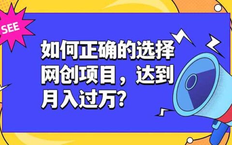 2026 如何正确选择网创项目？新手变现过万避坑指南