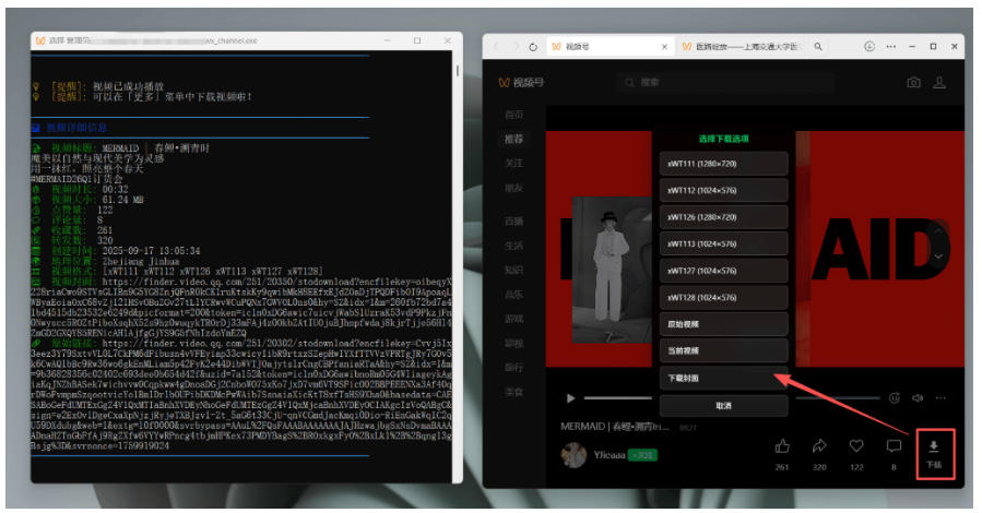 Github热门视频号下载神器wx_channel，一键批量下载多画质视频