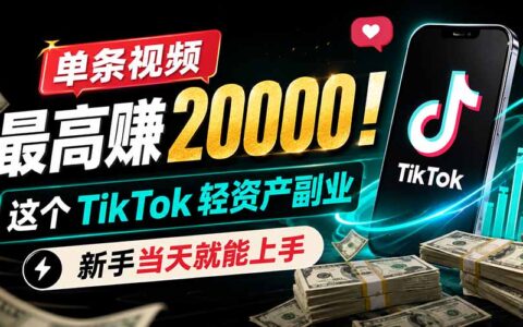 单条视频赚2万！TikTok轻资产副业，新手当天上手CapCut拉新
