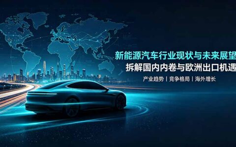 付费文章：新能源车行业内卷与欧洲出口机遇，拆解国内乱局