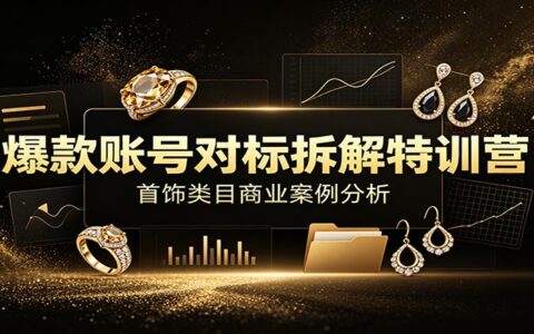 爆款账号对标拆解特训营：首饰类目商业分析+全套资料