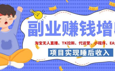 2026年副业项目：淘宝无人直播、TK拉新、CSGO饰品交易、去水印小程序，手把手搭建被动收入