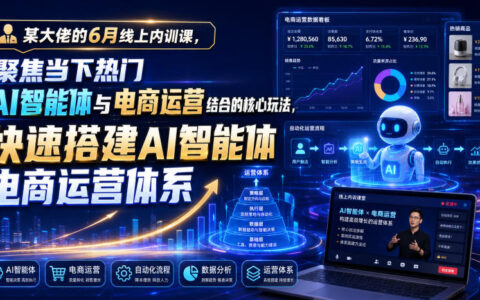 某大佬AI智能体电商运营内训课：选品客服投放自动化搭建