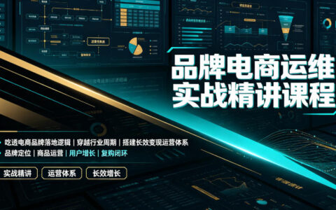 品牌电商运维实战课｜吃透品牌落地逻辑，搭建长效变现运营体系