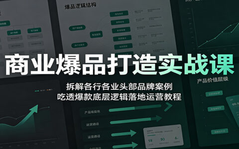 商业爆品实战课：拆解头部品牌案例，掌握爆款底层逻辑与落地运营